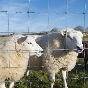 Buy cheap 1.5M High 100M Length Veldspan High Tensile Wire Cattle Farm Fence from wholesalers