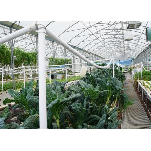 Buy cheap Space Saving DWC Hydroponics System Oxygen Rich For Small Space Vegetable Gardening from wholesalers
