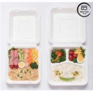 100% Sugarcane Bagasse 9x9 Clamshell Recyclable Takeaway Boxes Home Compostable