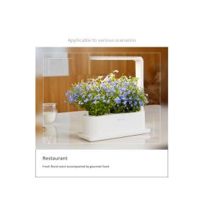 Buy cheap PP LED Acid Resistance Home Hydroponic Growing System from wholesalers