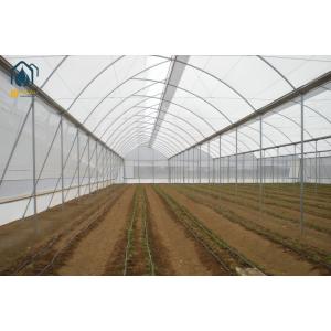 Buy cheap Modern Agricultural Tropical Multi Span Greenhouse Easy Setup Low Maintenance from wholesalers