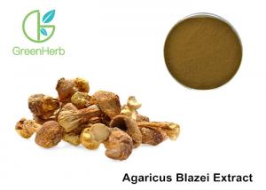 Buy cheap Agaricus Blazei Extract Promoting Hematopoiesis ,  Medicinal Mushroom Powder product