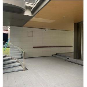 China White Wood Grain 60x120cm Matte Porcelain Tile for Outdoor Walls on sale