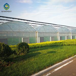 Buy cheap Multi Functional 4m Polycarbonate Film Greenhouse Side Ventilation from wholesalers