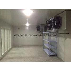 China Reliance Walk in Freezer Room -20c to -30c with Direct Cooling Technology on sale