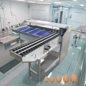 Digital Egg Sorter Wash And Egg Sorter Machine Stainless Steel Egg Sorting And