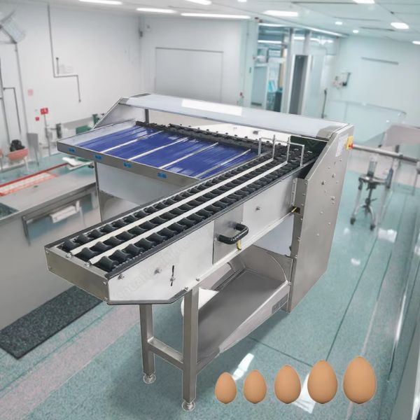 Digital Egg Sorter Wash And Egg Sorter Machine Stainless Steel Egg Sorting And