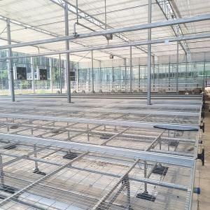 Buy cheap Customized Greenhouse Rolling Bench Grow Table with Easy Construction Advantage and Hot Galvanized Steel Frame Structure from wholesalers