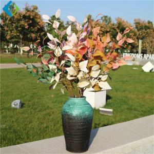 Buy cheap Silk Fake Eucalyptus Plant , 90cm Height Artificial Eucalyptus Leaves from wholesalers