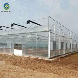 10m Hot Dip Galvanized Steel Frame Multi Span Greenhouse