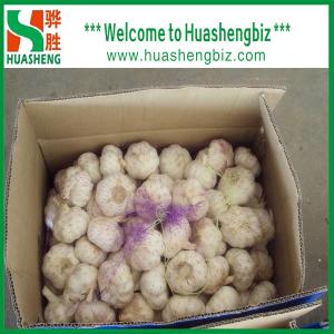 Buy cheap Fresh garlic from wholesalers