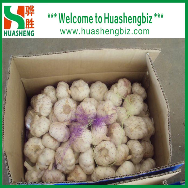 Buy cheap Fresh garlic from wholesalers