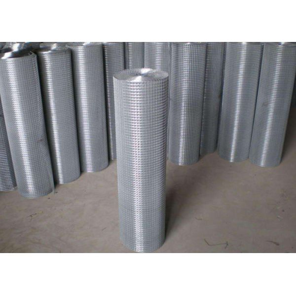 Quality Thin Welded Wire Cloth Roll Type , Galvanized Stainless Steel Weld Mesh for sale