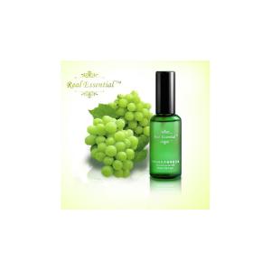 Good Quality Polyphenols Extracted from Vitis Vinifera Seed (Vitis vinifera L)