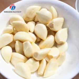 Garlic Peeling processing production Machine minced garlic processing production