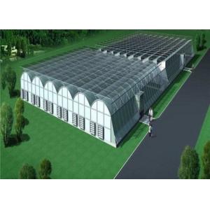 Buy cheap Custom Shaped Glass Seedling Greenhouse / Nursery Bed Breeding / Movable Seedbed from wholesalers