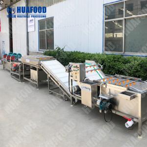 Bubble Vegetable And Fruit Washing Machine Industrial Vegetable Wash Machine