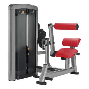 Buy cheap Level Adjustment Back Extension Exercise Machine Gas Assisted Spring Reliable from wholesalers