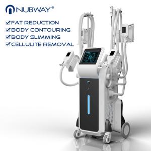 Buy cheap 2019 newest design OEM best quality distributor price fat freezing slimming machine with 4 heads from wholesalers