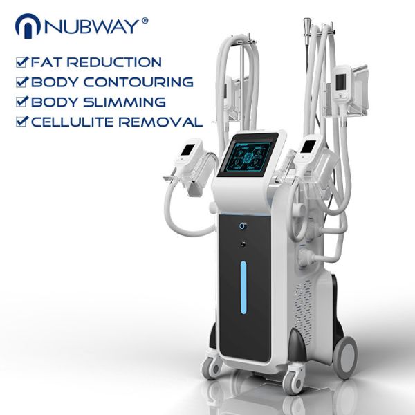 Buy cheap CE approval 3 years warranty best quality good result 10.4 inch touch screen 4 heads Cryolipolysis slimming machine from wholesalers