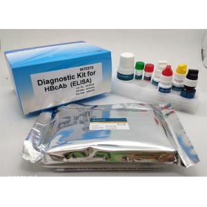 China High Sensitivity Elisa Test Kit Easy To Operate For Hbcab on sale