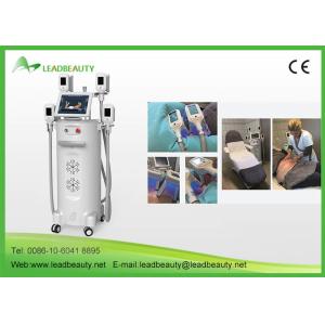 Buy cheap cryolipolisis kryolipolyse slimming machine with CE from wholesalers