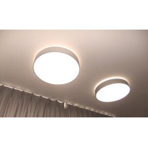 2700K-6500K Ceiling Round Led Panel Light Dimmable Customized