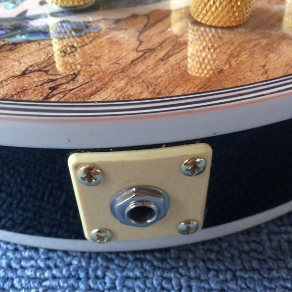 New high-quality custom LP electric guitar, Abalone Dinosaur inlaid fingerboard & body custom LP Electric guitar, free s