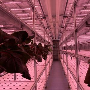 Buy cheap LED Light Indoor Hydroponic Farm Container with Climate Control from wholesalers