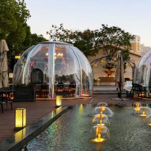 Transparent Clear PC 6m Geodesic Dome House Igloo With Aluminum Frame