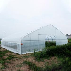 Buy cheap Clear Plastic Film Polyethylene Steel Frame Greenhouse With Irrgation System from wholesalers