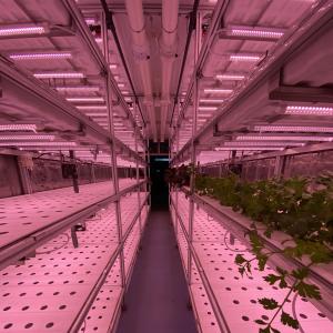 Buy cheap Hydroponic Smart Farming Container Greenhouse for Agriculture 40ft Container from wholesalers