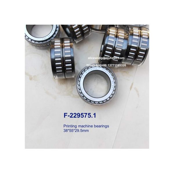 F-229575.1 F-229575 printing machine bearings full complement cylindrical roller