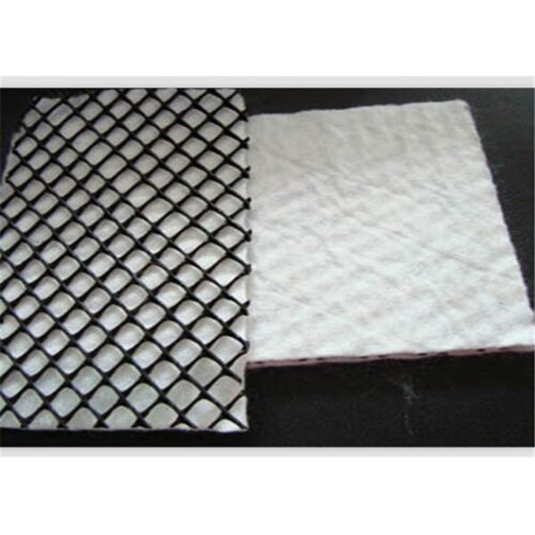 Quality Slope Protection Geocomposite Hdpe Geonet With Two-Dimension In Construction for sale