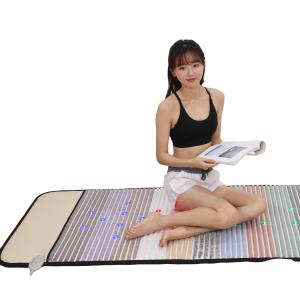 Buy cheap Thermal PEMF Far Infrared Heating Mat Amethyst Crystal with Controller from wholesalers