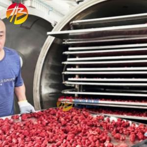 Buy cheap High Productivity Industrial Vacuum Freeze Drying Machine with 200kg per Batch Capacity from wholesalers