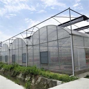 Buy cheap Strawberries Seedbed Nursery Multi Span Greenhouses with Inner Shading System from wholesalers