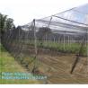 Buy cheap Monofilament Knitted 100% virgin HDPE Material Transparent Anti hail Netting,Polyester fiberglass anti insect net for in from wholesalers