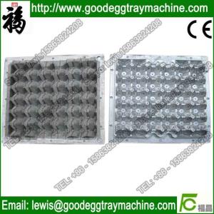China high quality egg and fruit tray mold