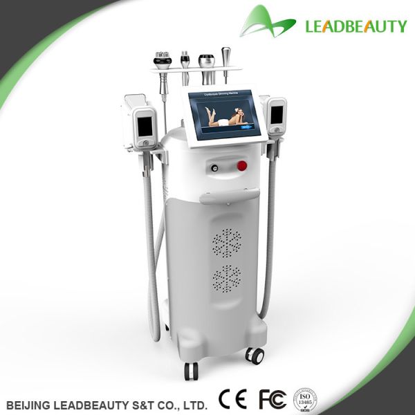 Quality Multifunction cryolipolysis slimming fat freezing cryolipolysis slimming machine with CE for sale