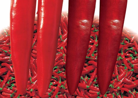 Buy cheap Dried Red Jinta Chilli 8000SHU Stick Shape Guajillo Pepper KOSHER from wholesalers