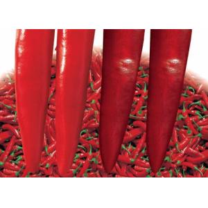 Buy cheap Dried Red Jinta Chilli 8000SHU Stick Shape Guajillo Pepper KOSHER from wholesalers