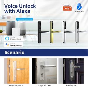 Wifi Waterproof Elegant Electronic Slim Digital Smart Door Lock