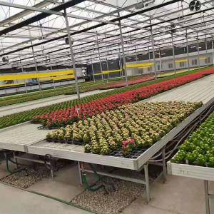 Buy cheap Vegetables Ebb And Flow Tray Seeding Bed Greenhouse Rolling Benches from wholesalers