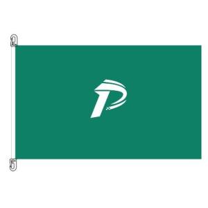 Buy cheap Mesh Polyester Advertising Banner Flags For Campaign from wholesalers