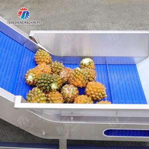 Buy cheap Orange Potato Onions Ginger Potato Carrot Taro Sweet potato Yam Saiko persimmon papaya horseshoe Simple melon and fruit lifting and brush roller from wholesalers