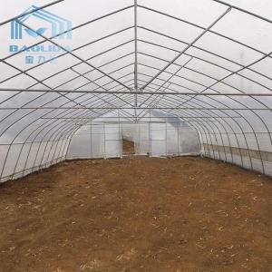 Buy cheap Hot Aluminized Zinc Single Span Plastic Film Greenhouse 8m Width from wholesalers