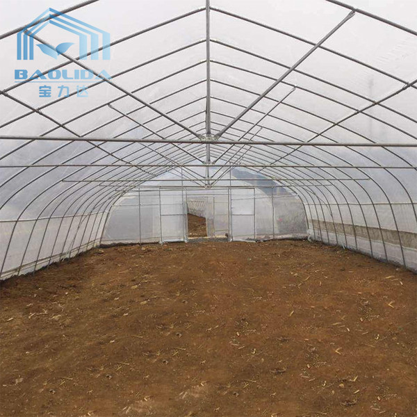 Quality Hot Aluminized Zinc Single Span Plastic Film Greenhouse 8m Width for sale