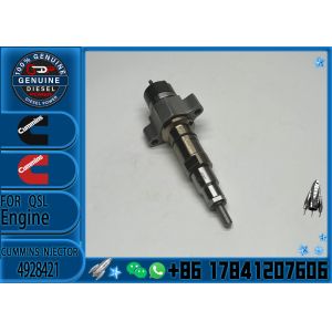 High Quality Diesel Engine Spare Parts QSL ISC Series Fuel Injector 4928421