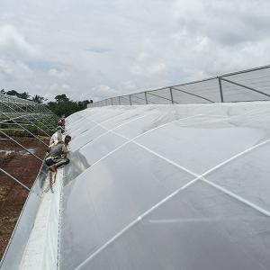 Poly Multi Span Greenhouse With Sawtooth Roof Ventilation 10-60 Meter